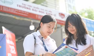 Thí sinh tìm hiểu thông tin tuyển sinh năm 2025. Ảnh: DƯƠNG TRIỀU