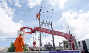Điện lực miền Nam chủ động phương án, đảm bảo điện an toàn dịp Quốc khánh 2/9 