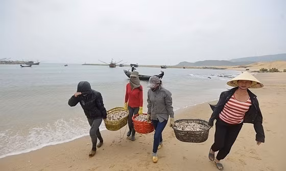 Hà Tĩnh kỷ luật hàng loạt cán bộ liên quan đến vụ Formosa
