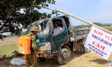 Nghệ An tiêu hủy 660 tấn lợn nhiễm bệnh, tỷ lệ tiêm vắc-xin thấp