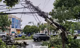 Nhiều cột điện ở Nghệ An gãy đổ sau bão số 5