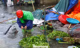 Chợ đầu mối nông sản lớn nhất Nghệ An ngập sâu 