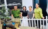 Nhặt được đôi chim quý bên đường, người phụ nữ thấp thỏm suốt nhiều đêm
