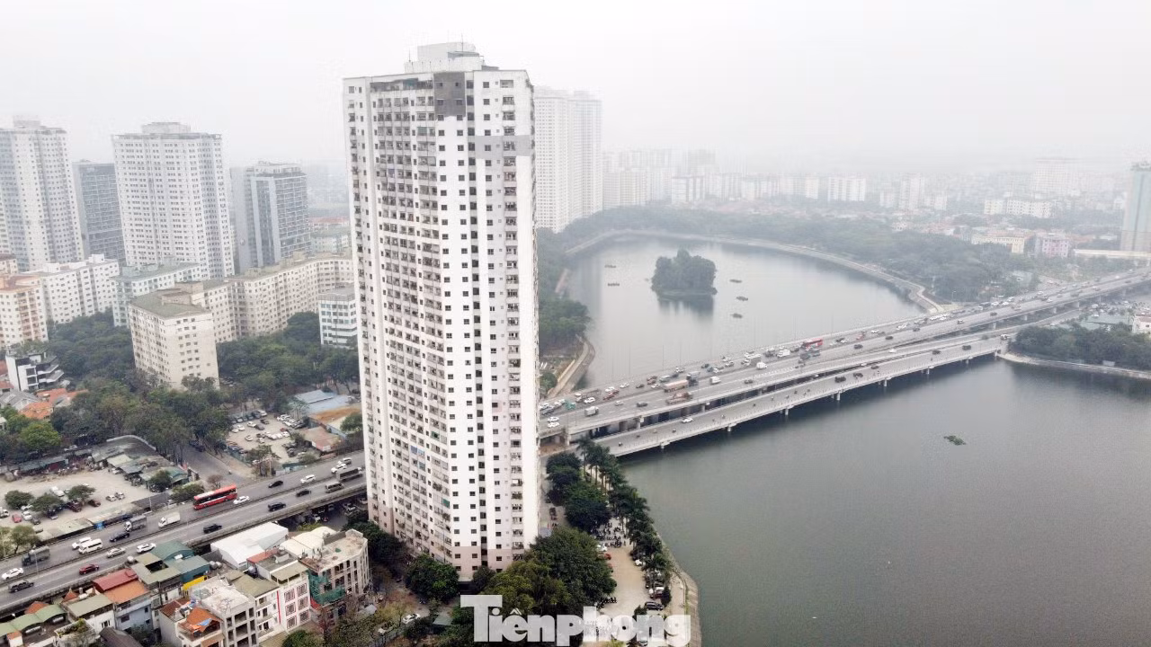 tp_vp6-linh-dam5.jpg