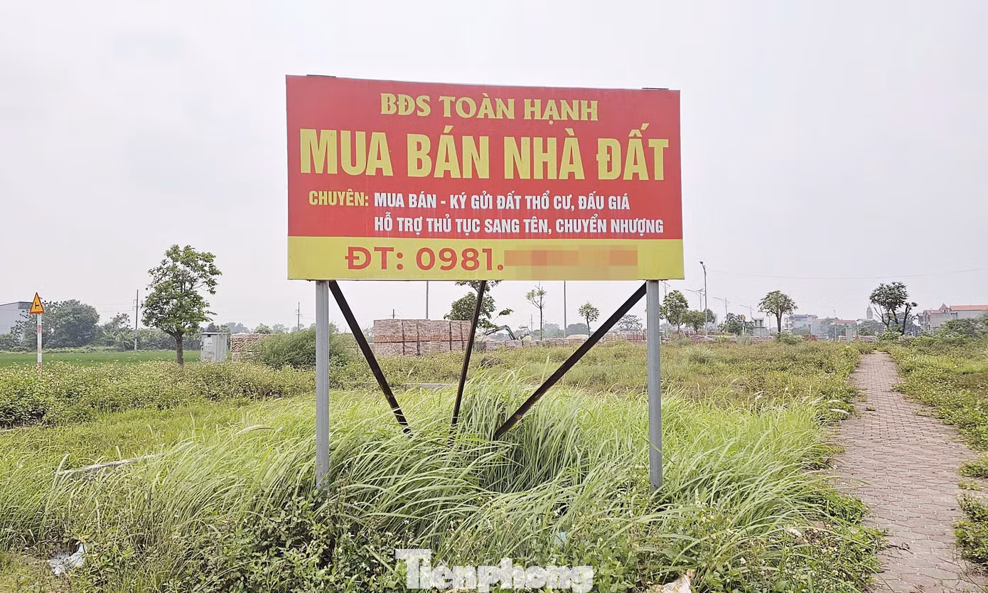 tp-dau-gia-dat-vung-ven-bo-hoang3.jpg