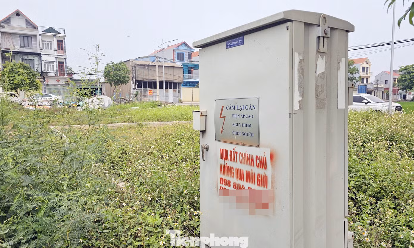 tp-dau-gia-dat-vung-ven-bo-hoang2.jpg