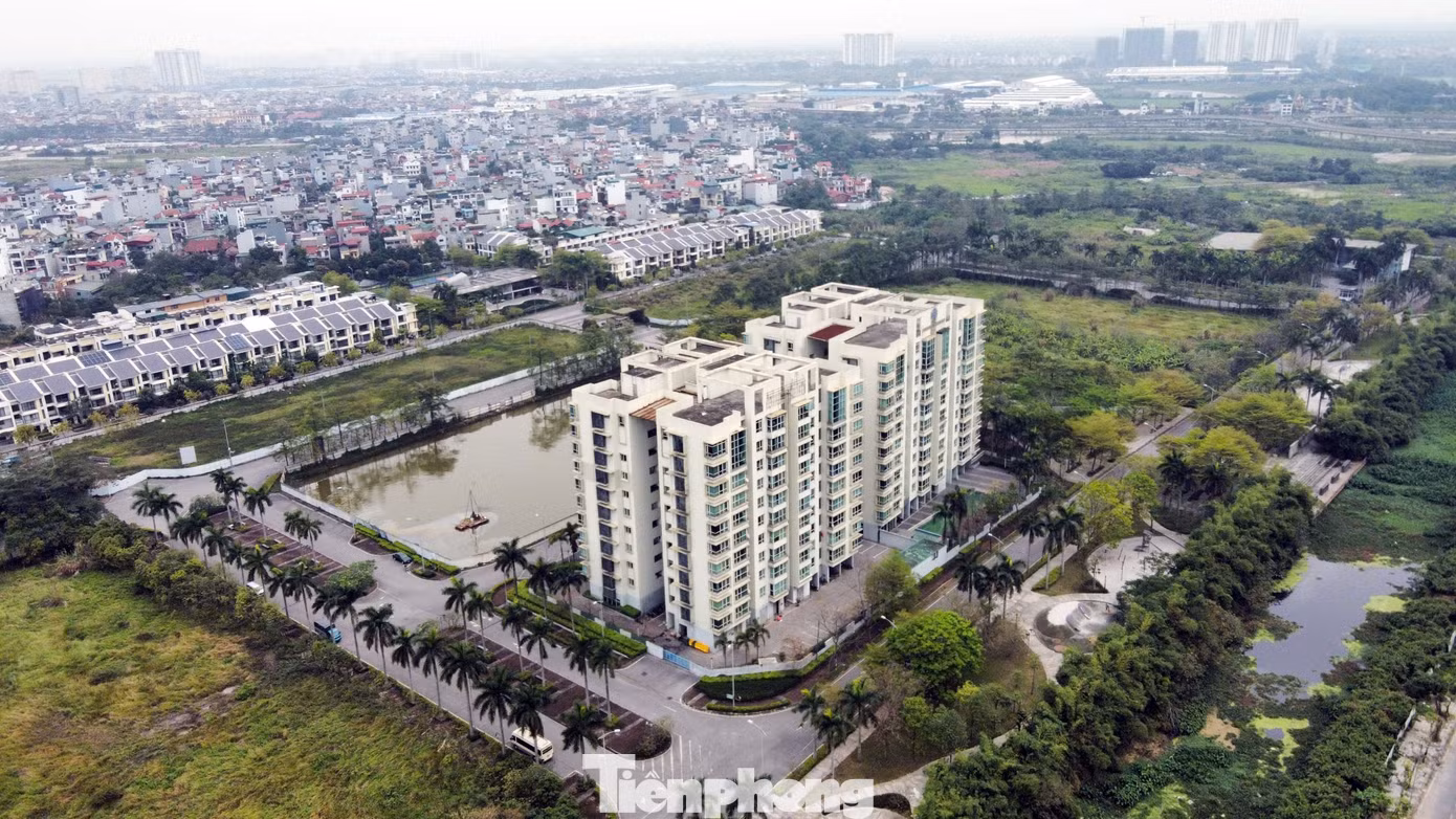 tp-du-an-88-central7.jpg