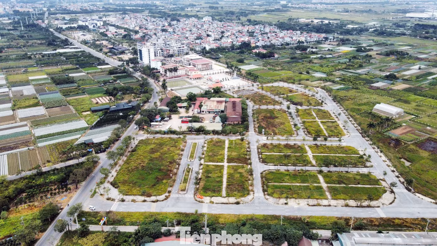 tp-dau-gia-dat-thon-co-duong-vimedimex4.jpg