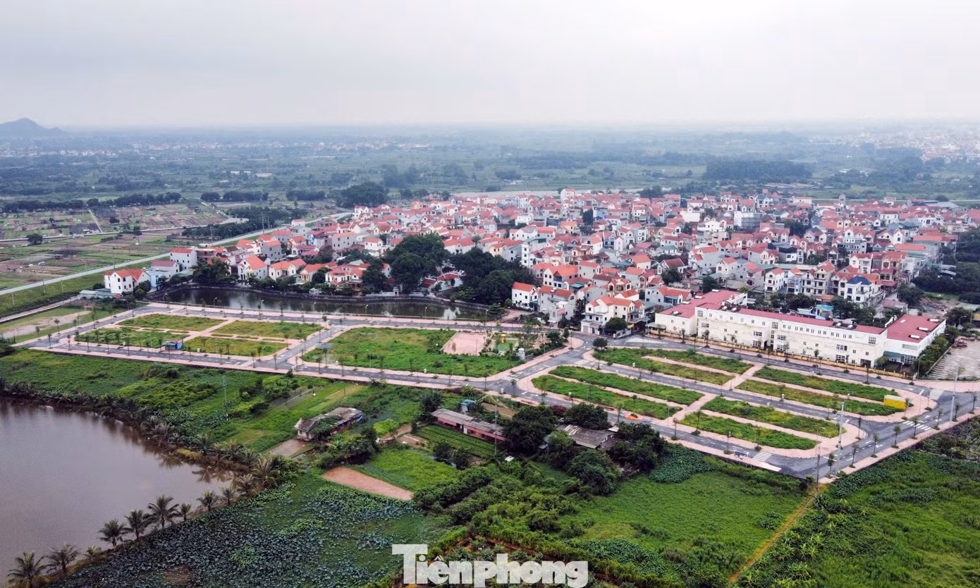 tp-dau-gia-dat-bo-hoang16.jpg