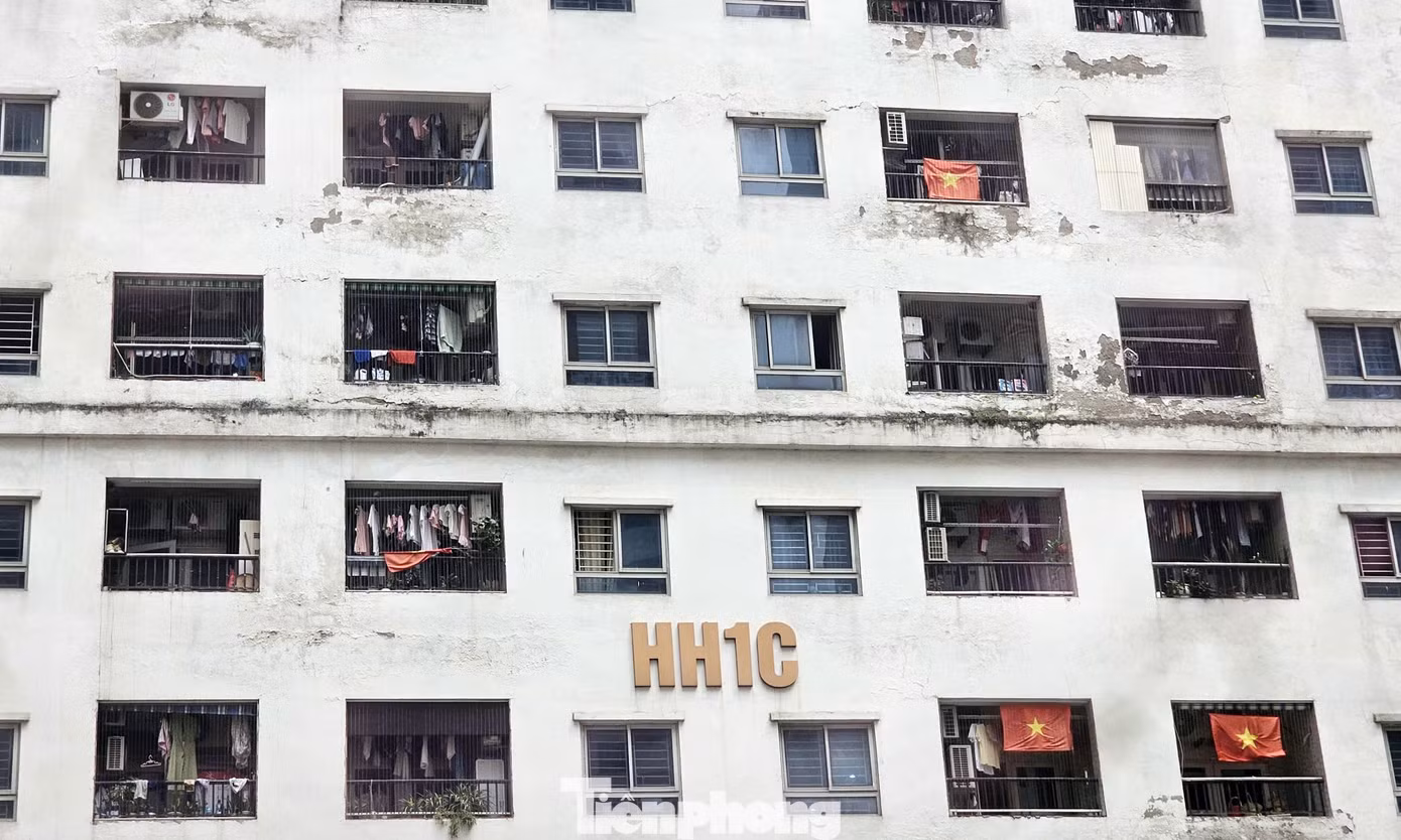 tp-hh-linh-dam3.jpg