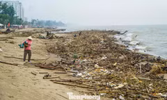 Bãi biển Sầm Sơn ngập rác 