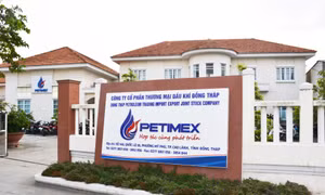 Thanh tra Chính phủ đề nghị điều tra vụ Petimex bán 185 triệu lít xăng dầu không hóa đơn