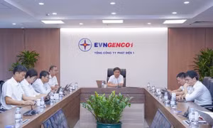 EVNGENCO1 đẩy mạnh khoa học công nghệ, đổi mới sáng tạo và chuyển đổi số