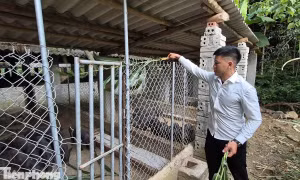 Vực dậy nhờ Nghị quyết 21