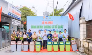 TP.HCM tổ chức ngày hoạt động cao điểm xây dựng nông thôn mới và Chủ Nhật Xanh