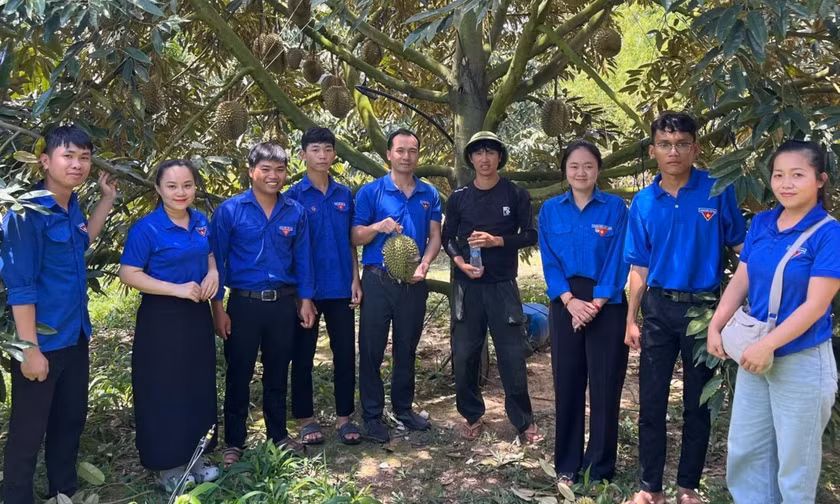 Biến vườn rẫy thành sinh kế bền vững, thu nhập nửa tỉ đồng mỗi năm