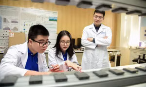 Quỹ Học bổng Quốc gia triển khai 5 nhóm chương trình học bổng