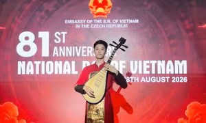 Nguyễn Dương Thái biểu diễn tại Lễ kỷ niệm 81 năm Quốc khánh nước CHXHCN Việt Nam tại Cộng hòa Séc.