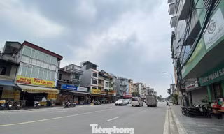 Sau cải tạo, tuyến phố ở Hà Nội không còn cây xanh