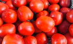 Cà chua tăng giá kỷ lục tại chợ Hà Nội: 85.000 đồng/kg vẫn bán sạch, bà nội trợ 'choáng váng'