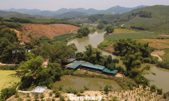 Lật tẩy nhiều chiêu trò bao tiêu nuôi con đặc sản tại Tuyên Quang