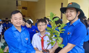 Trao hơn 320 triệu đồng an sinh tại lễ ra quân Tháng Thanh niên 2026 của tuổi trẻ Quảng Trị 