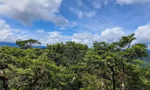 Phong Nha - Kẻ Bàng được công nhận là Khu Dự trữ sinh quyển thế giới 