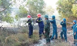 Cháy lớn thiêu rụi khoảng 200ha rừng ở Quảng Trị 