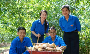 Lạc giữa rừng tre lục trúc của nhóm bạn trẻ ở Quảng Trị 