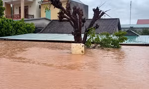 Mưa lũ bủa vây nhiều vùng Quảng Trị, hàng trăm nhà dân chìm trong 'biển nước'