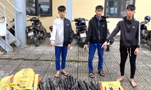 Bắt giữ nhóm chuyên trộm cắp cáp điện ngầm ở Quảng Trị