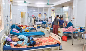 42 người nghi ngộ độc sau khi ăn bánh mì ở Quảng Trị 