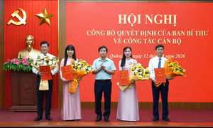 Ban Bí thư Trung ương Đảng chỉ định, chuẩn y nhân sự 3 tỉnh, thành