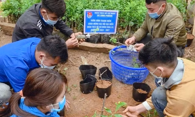 Vườn ươm thanh niên phát triển kinh tế, xóa đói giảm nghèo vùng phên dậu