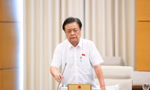 Không nơi nào trên thế giới có 'việc nhẹ lương cao', tại sao nhiều người vẫn bị lừa?