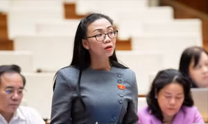 Đại biểu Quốc hội đề xuất 'chặn' hàng giả, quảng cáo sai sự thật từ livestream 