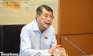 Thủ tướng: Làm rõ đề xuất đánh thuế 0,2% với đất bỏ hoang 