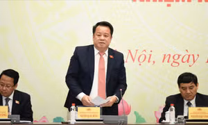 Xử nghiêm hành vi đưa thông tin sai sự thật, bôi nhọ ứng cử viên đại biểu Quốc hội