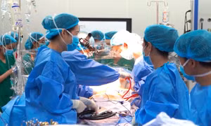 Trẻ dưới 15 tuổi có thể được hiến mô cứu anh, chị, em ruột?