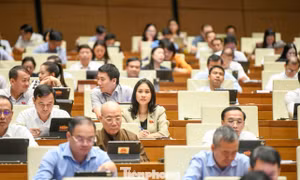 Quốc hội bàn chính sách sửa đổi Luật Đất đai và Luật Nhà ở