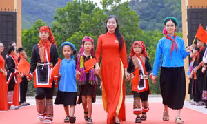 Đề nghị sớm giải quyết vấn đề tiền lương, tháo gỡ bài toán thiếu giáo viên