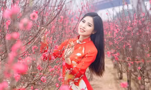 Chính thức 'chốt' nghỉ 7 ngày Tết âm lịch và 4 ngày lễ Quốc khánh năm 2027
