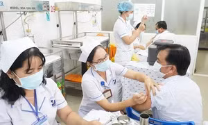 Bộ Nội vụ đôn đốc các tỉnh, thành phố sắp xếp cơ sở y tế, giáo dục