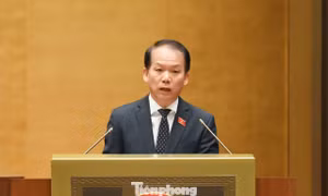 Chính phủ đề xuất ưu tiên kiểm soát xe xăng, dầu trong vùng phát thải thấp