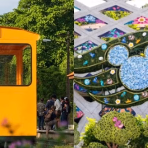 Khám phá Singapore dịp nghỉ lễ: Sáng đi rừng, chiều ăn ngon, tối chơi cùng Disney 