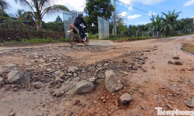 Mưa lớn xé toạc tuyến đường