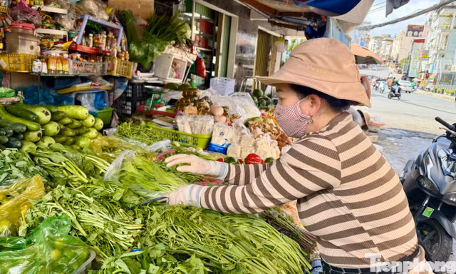 'Bỏng tay' với giá rau sau mưa ngập 