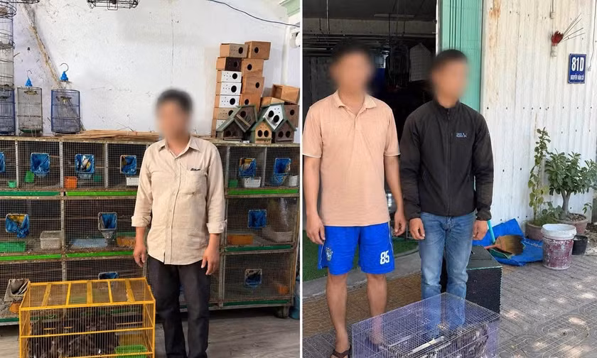 Công an phát hiện 290 chim cảnh không rõ nguồn gốc