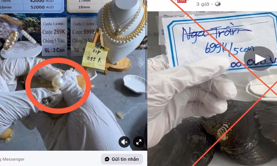 Mồi nhử tiền tỷ sau những phiên livestream khui ngọc trai