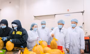 Chánh Thu: Gần 30 năm đưa trái cây Việt vươn ra thế giới